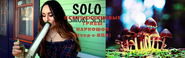 ешки Бородино