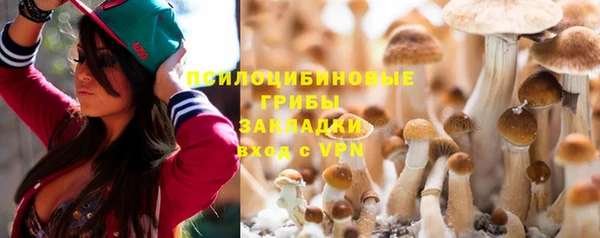 ешки Бородино