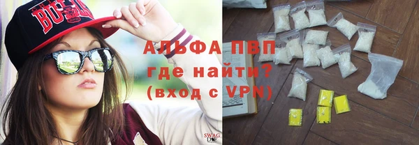 ешки Бородино
