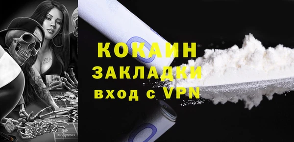 ешки Бородино