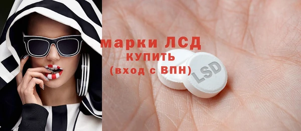 ешки Бородино