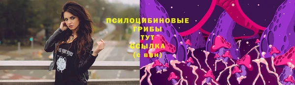 ешки Бородино