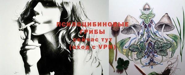 ешки Бородино